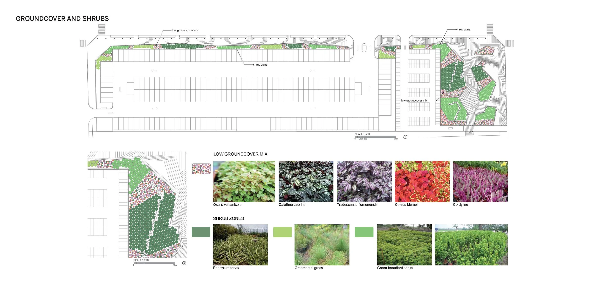 Zelkova Public Realm — Landworks Studio, Inc.